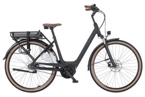 Pegasus Siena E7F Belt 500Wh Tiefeinstieg 2025 