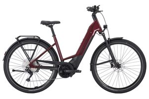 Bulls Cross Lite Evo 1 800Wh Tiefeinsteiger 2025 