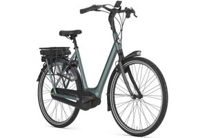 Gazelle Orange C8 HMB 