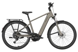 Pegasus Premio Evo 10 Lite 600Wh Herren 2025 