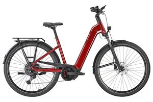 Pegasus Premio Evo 10 Lite 600Wh Tiefeinsteiger 2025 