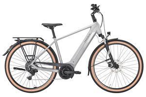 Pegasus Solero Evo 9 625Wh Herren 2025 