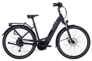 Pegasus Solero Evo 9 750Wh Tiefeinstieg 