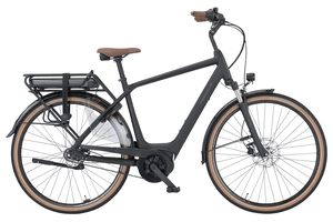 Pegasus Siena E7F Belt 400Wh Herren 2025 