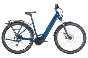 Bulls Cross Flyer Evo 1 