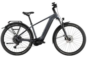 Bulls Iconic Evo 1 | 800 Wh | Herren | 2026 