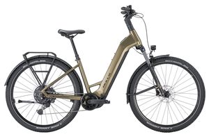 Bulls Iconic Evo 2 800Wh 2025 