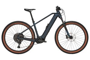 Bulls Sonic Evo 29 