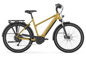Gazelle Medeo T10 HMB 