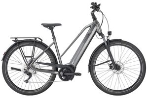 Pegasus Premio Evo 10 | Trapez | 750 Wh | 2026 