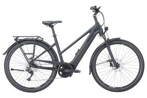 Pegasus Premio Evo 10 Lite 625 Wh Trapez 