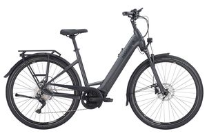 Pegasus Premio Evo 10 Lite 750Wh Tiefeinsteiger 