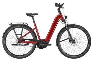 Pegasus Premio Evo 5F Belt 600Wh Tiefeinsteiger 2025 
