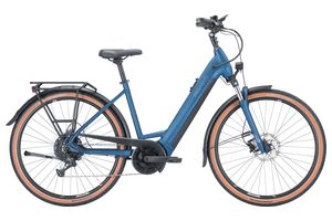 Pegasus Premio Evo 9 | Tiefeinstieg | 750 Wh 