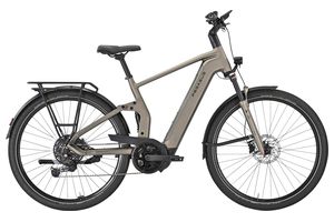 Pegasus Premio FS 10 Lite | 800Wh | Herren 
