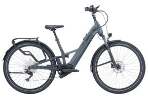 Pegasus Savino Evo FS10 Lite 