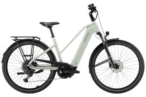 Pegasus Solero Evo 10 | 800 Wh | Trapez | 2026 