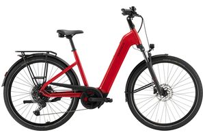 Pegasus Solero Evo 10 | 600 Wh | Tiefeinstieg | 2026 