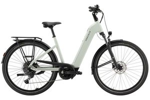 Pegasus Solero Evo 10 | 800 Wh | Tiefeinstieg | 2026 