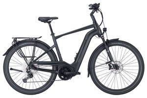 Pegasus Strong Evo 11 Lite 